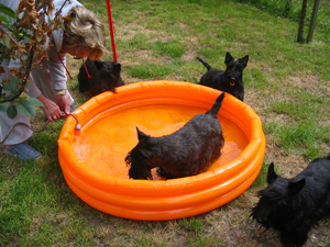 Badezeit!